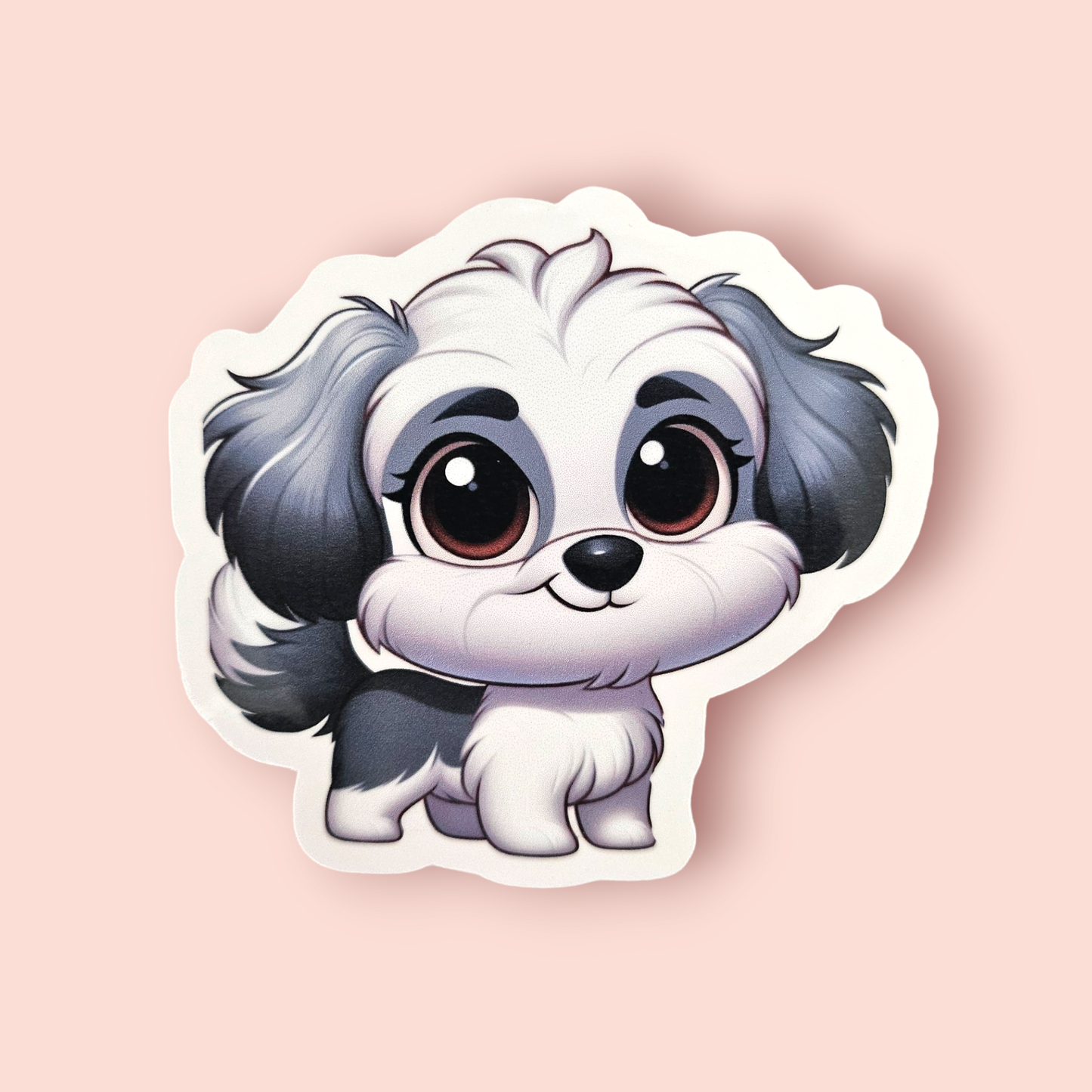 Maltipoo - Grey & White