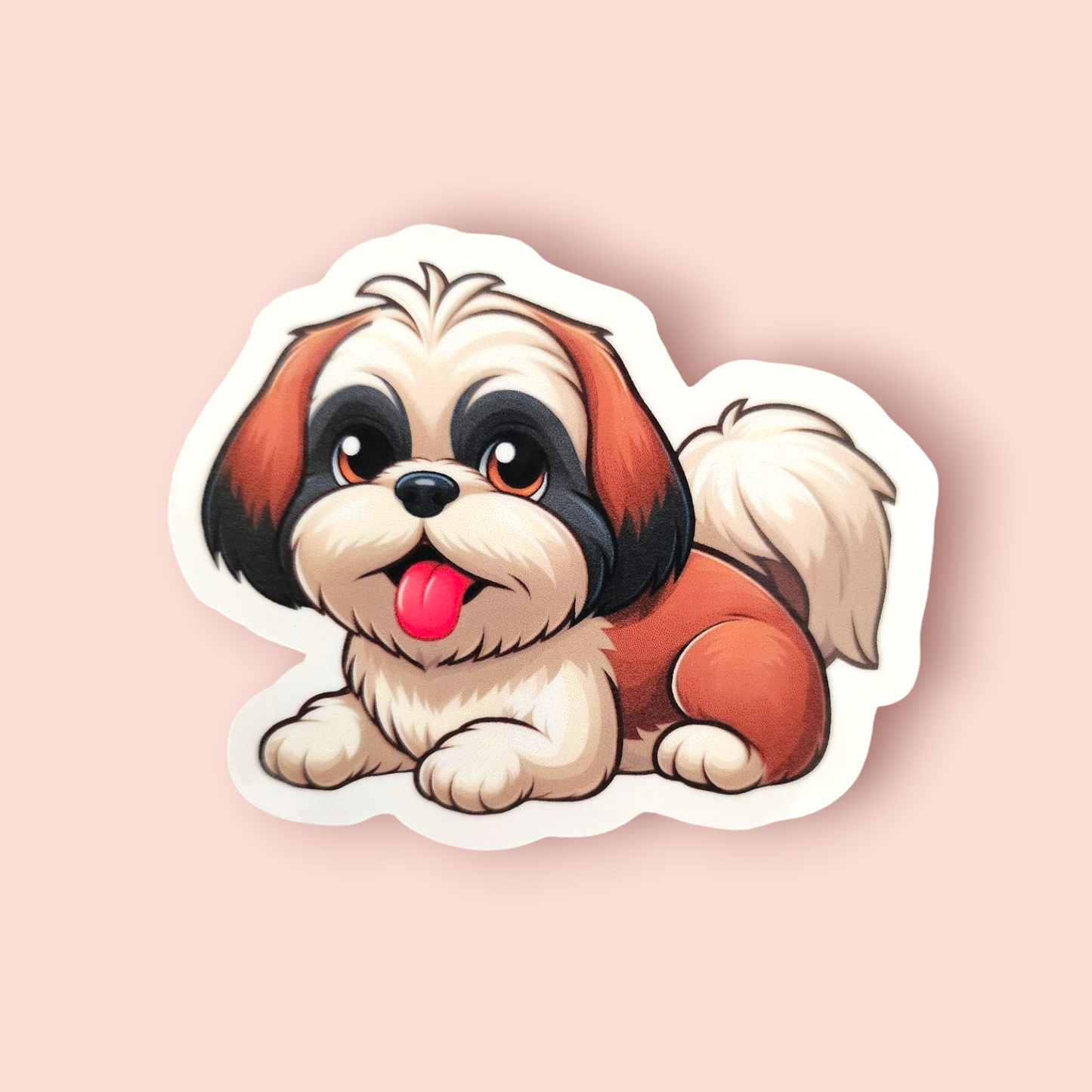 Shih Tzu - Tri-coloured