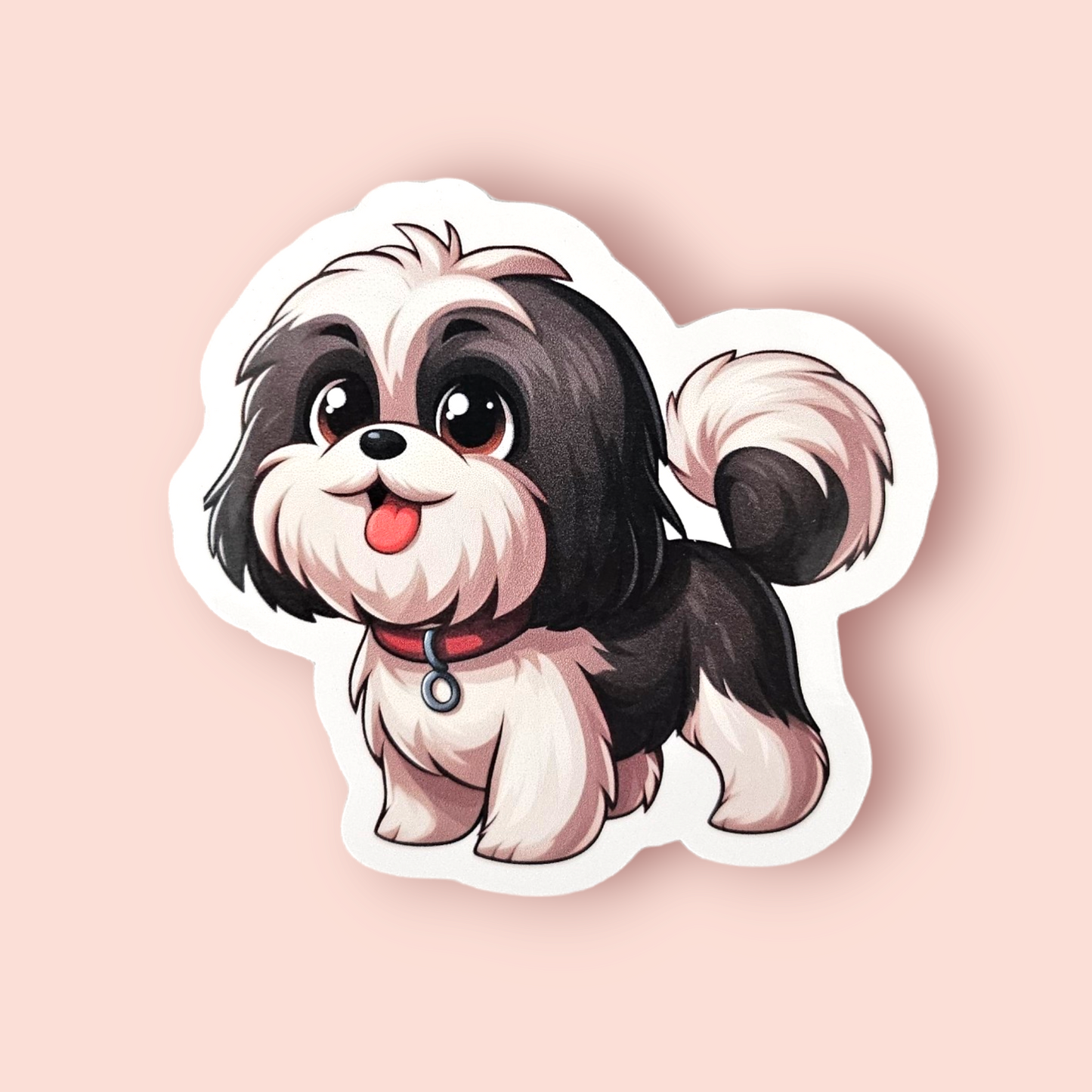 Shih Tzu - Black & White