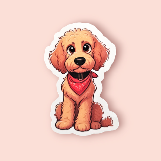 Goldendoodle