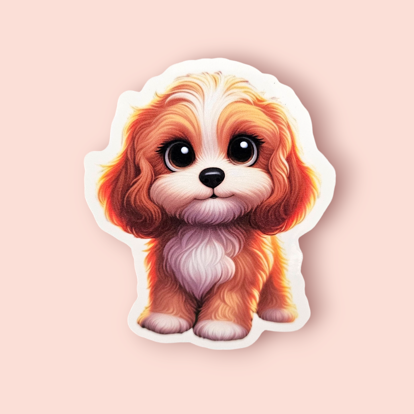 Cavapoo