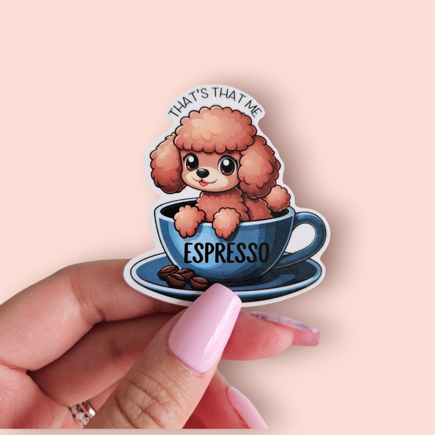 Teacup Poodle - Espresso