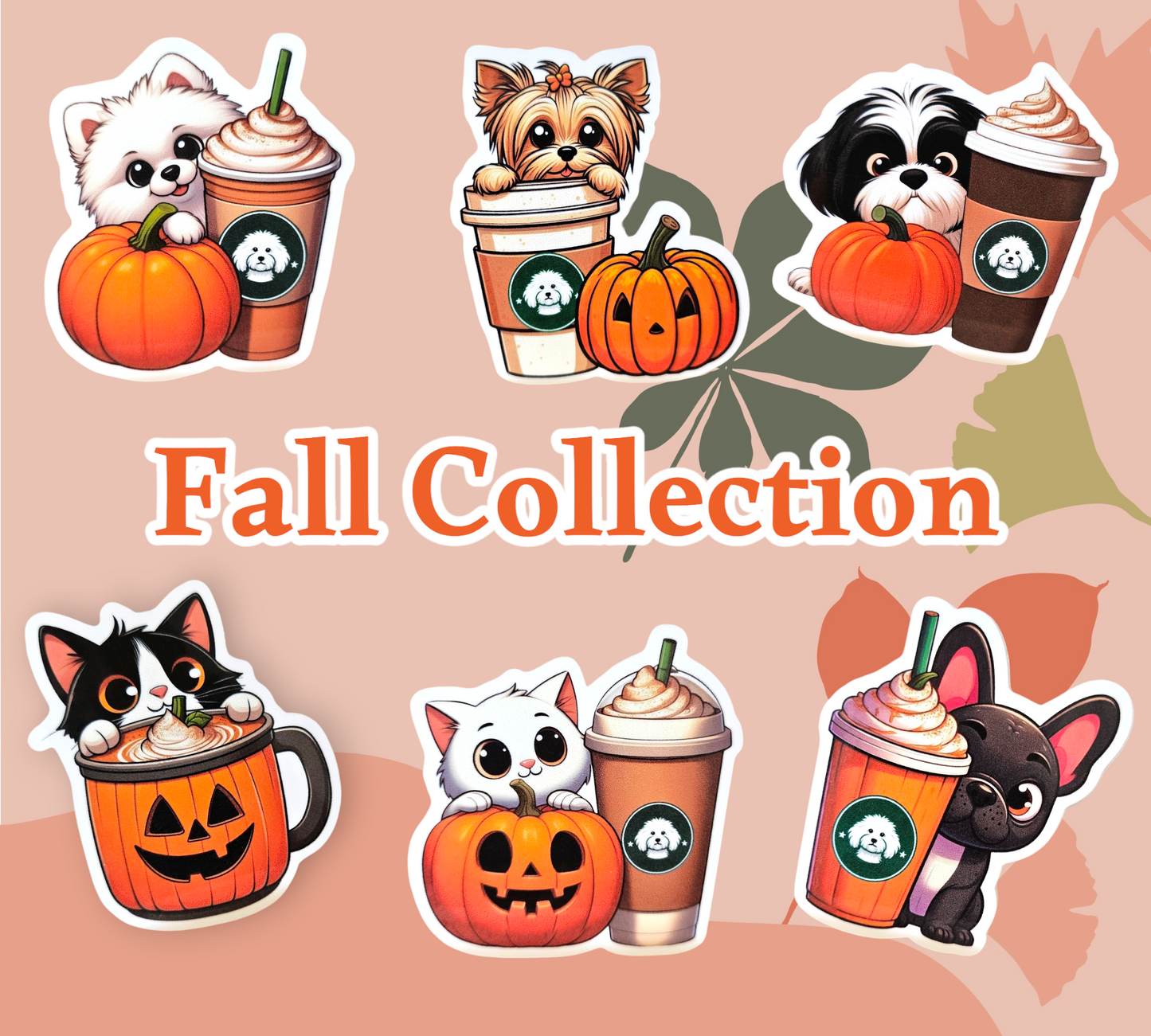 *Fall Collection